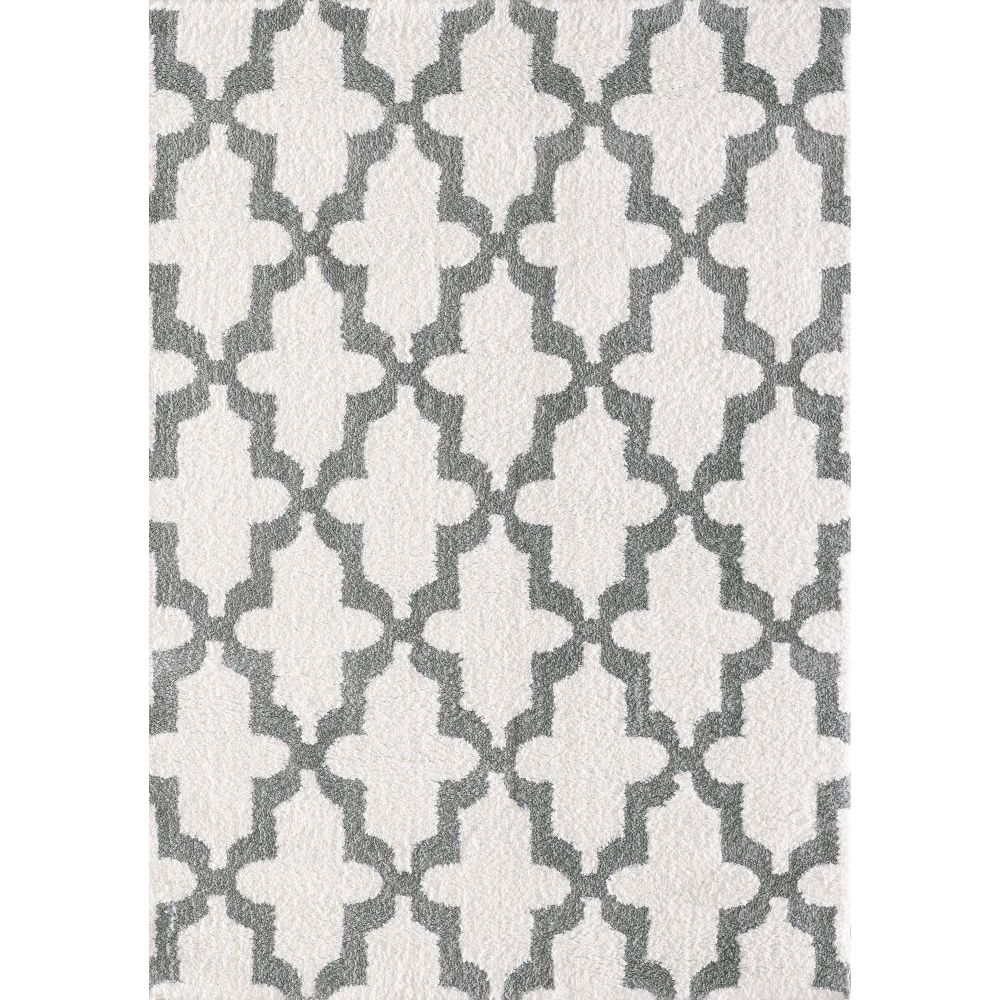 Dynamic Rugs 5906-110 Silky Shag 3.11 Ft. X 5.7 Ft. Rectangle Rug in White/Silver